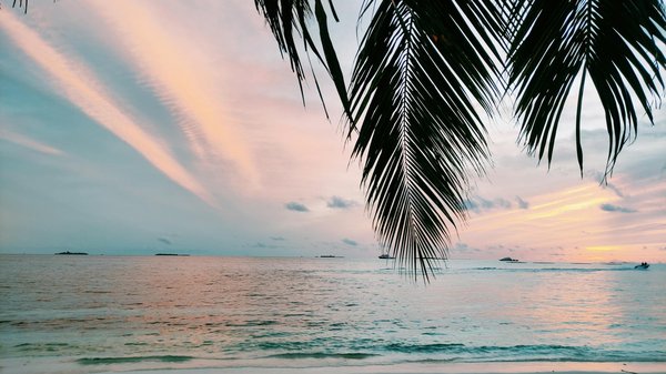 Explore the Top UK Cities for Captivating Brewery History Tours